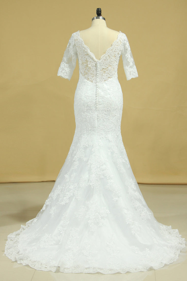 2024 Mermaid Wedding Dresses V-Neck 3/4 Sleeves Court Train Tulle V-Back With Covered Button